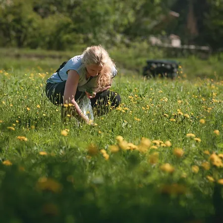 Hotel La Romantica 3*
