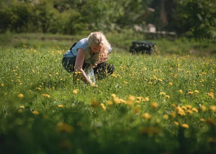 Hotel La Romantica 3*