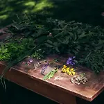 La Romantica